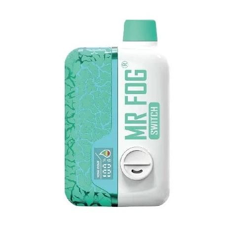 Mr Fog Gum Mint